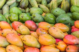 African Mango - De unde se poate cumpara?