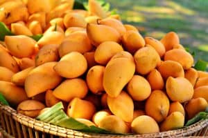 Cât De Eficient Este African Mango?