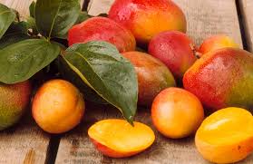 African Mango - Rezumatul Recenziei