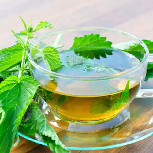 Ceai Pentru Eliminarea Acidului Uric - Ceai de urzica