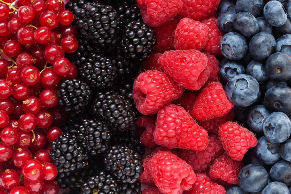 Alimente care scad tensiunea - fructe de padure