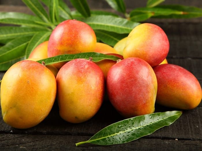 mango fruits8