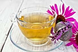 echinacea-purpurea-cup-of-tea3-4284075