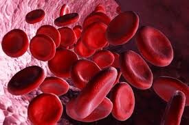 hemoglobina-7-5623552