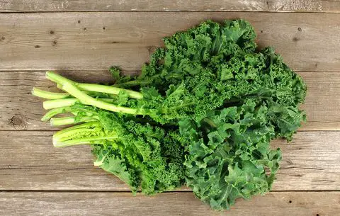 Varza Kale - sursa de nutrienti